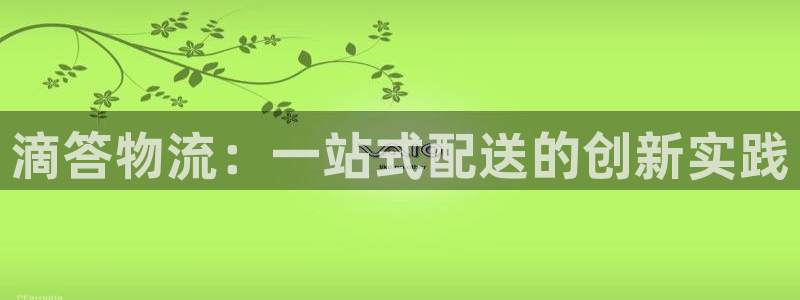 多多28官网下载加拿大：滴答物流：一