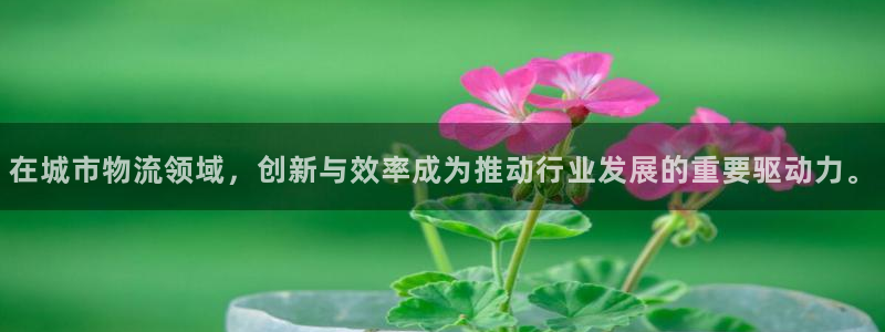 多多28比特28预测在线预测：在城市