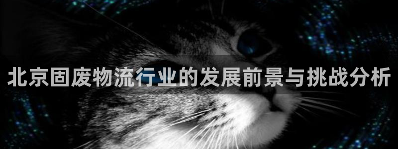 多多28网站平台：北京固废物流行业的