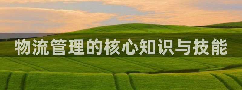 多多28推广链接是多少：物流管理的核