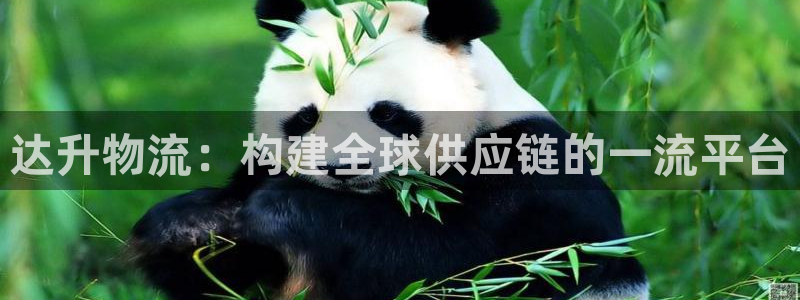 多多28娱乐官网网页：达升物流：构建