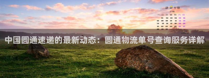 多多28官方平台：中国圆通速递的最新