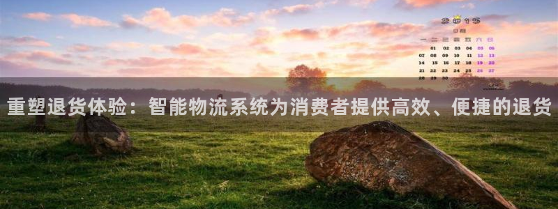 多多28在线预测：重塑退货体验：智能