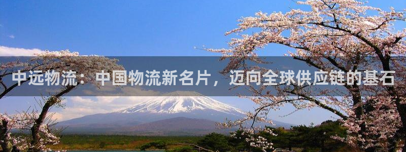 多多28充值：中远物流：中国物流新名