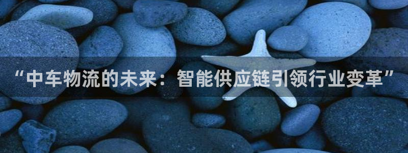 多多28连接：“中车物流的未来：智能