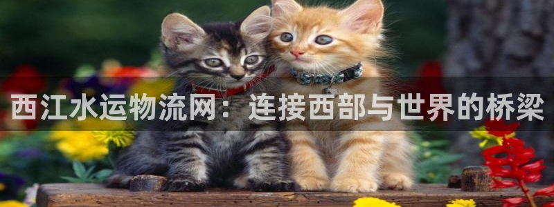 多多28官网入口pc正版：西江水运物