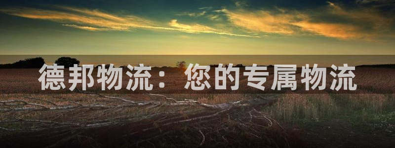 多多28系统自动保护：德邦物流：您的专属物流