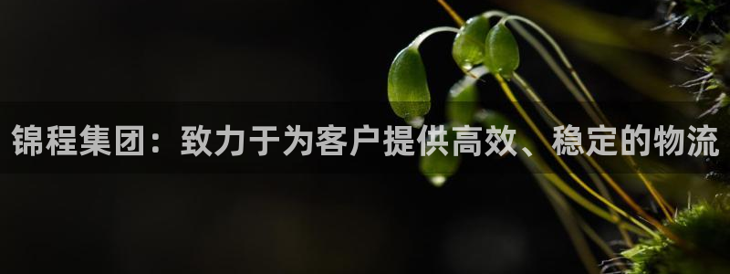 多多28推广链接是多少钱一个