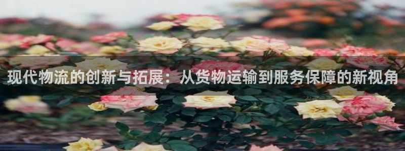 多多28能赢钱吗:现代物流的创新与拓