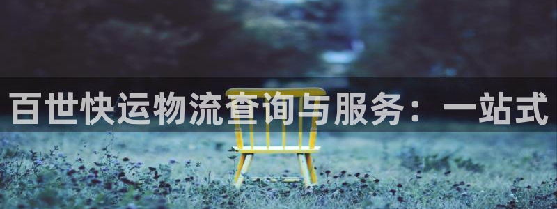 多多28充值不到账:百世快运物流查询