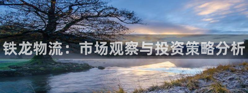 多多28连接:铁龙物流:市场观察与投