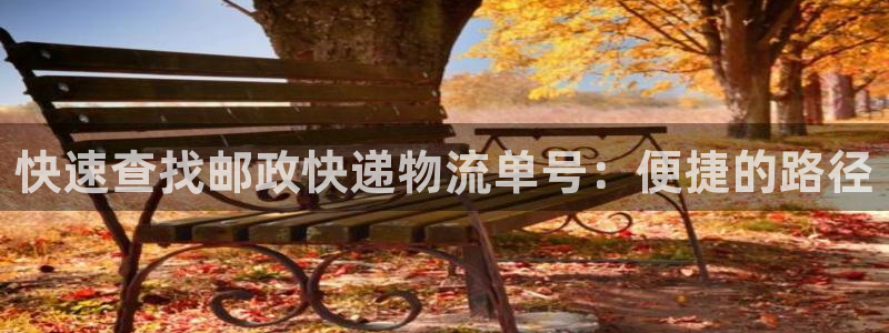 多多28是啥:快速查找邮政快递物流单