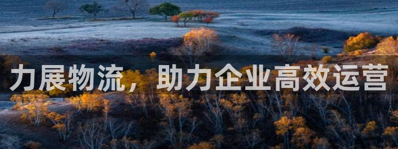 多多28加拿大28:力展物流,助力企