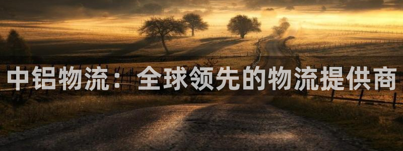 多多28图片：中铝物流：全球领先的物