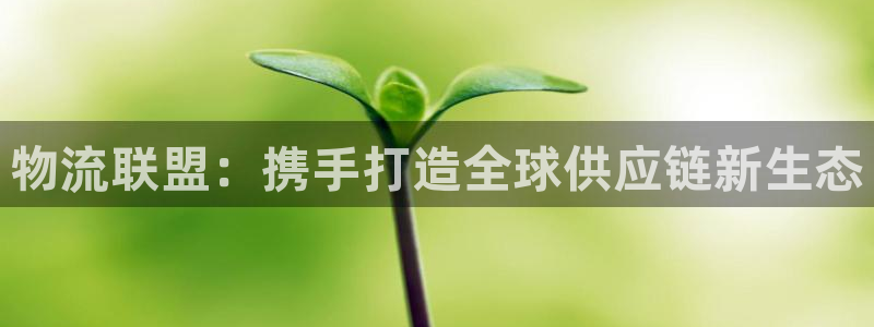 多多28app官网少林足球:物流联盟