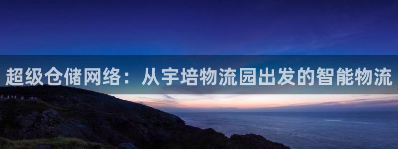 多多28能赢钱吗:超级仓储网络:从宇