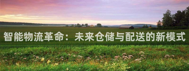 多多28注册送:智能物流革命:未来仓