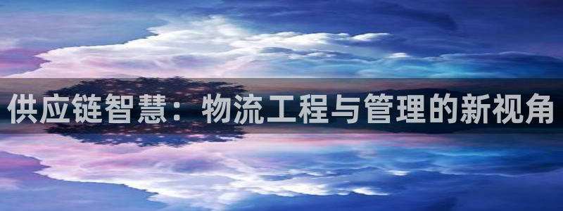 多多28官网平台:供应链智慧:物流工