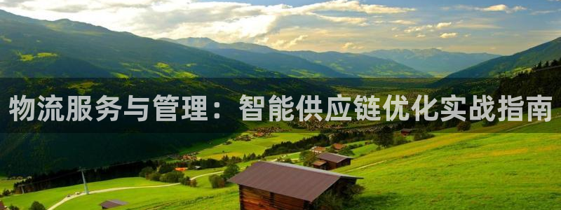 多多28娱乐官网网页入口：物流服务与