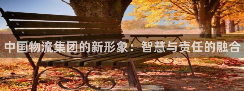 多多28加拿大：中国物流集团的新形象