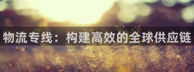 多多28反水怎么算：物流专线：构建高