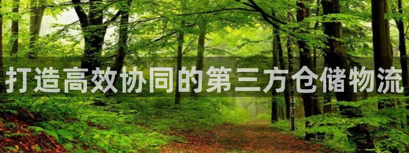 多多28下载链接是多少：打造高效协同