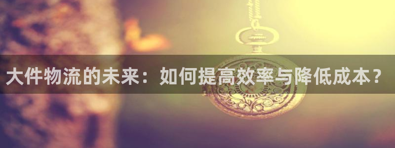 多多28官网版2024：大件物流的未