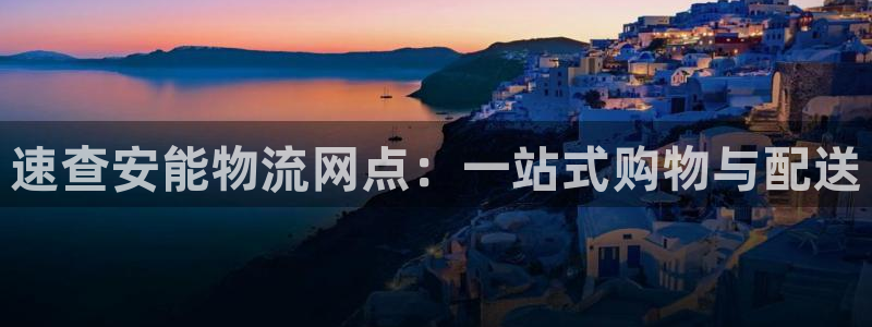 多多28电子游戏：速查安能物流网点：一站式购物与配送